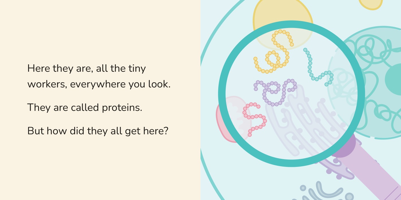 Book spread: the magnifying glass over a cell, showing colored proteins at work