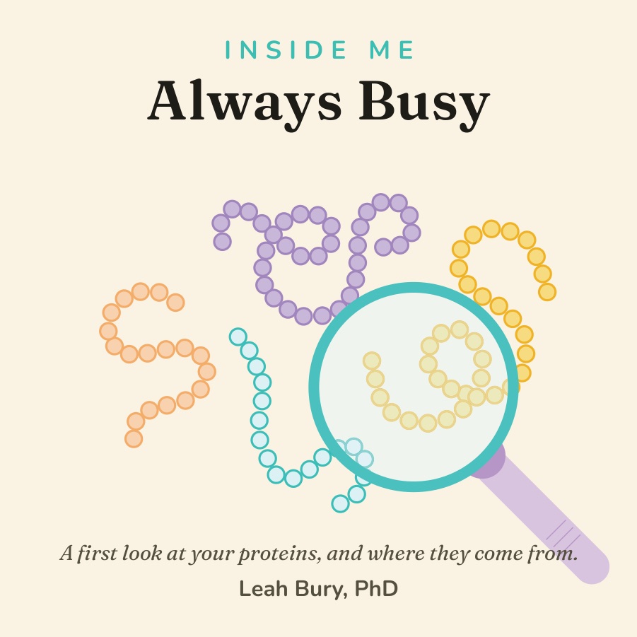 Cover of Inside Me: Always Busy, illustrated by Leah Bury