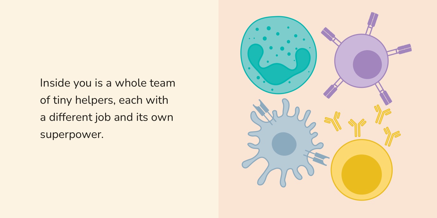 Book spread: four immune cells together, a neutrophil, a T cell, a dendritic cell and a B cell with antibodies