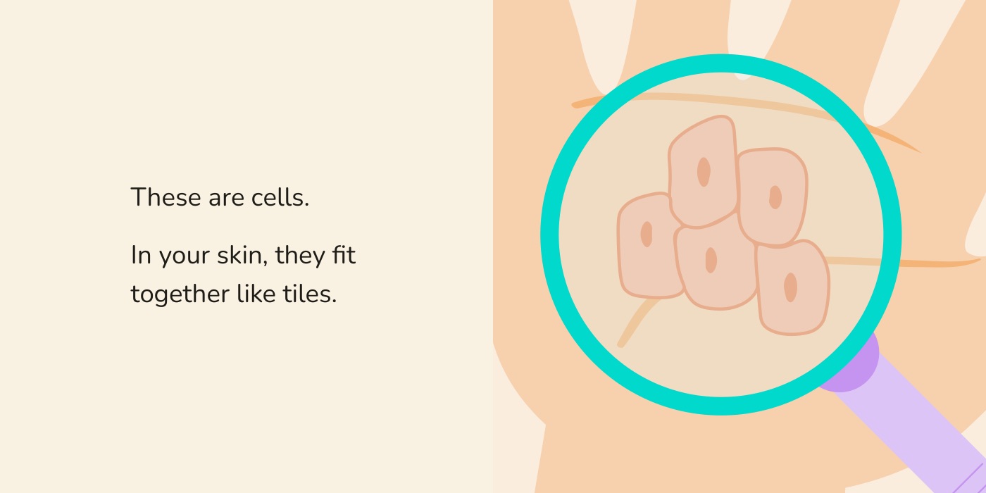 Book spread: the magnifying glass over a hand, showing skin cells fitted together like tiles