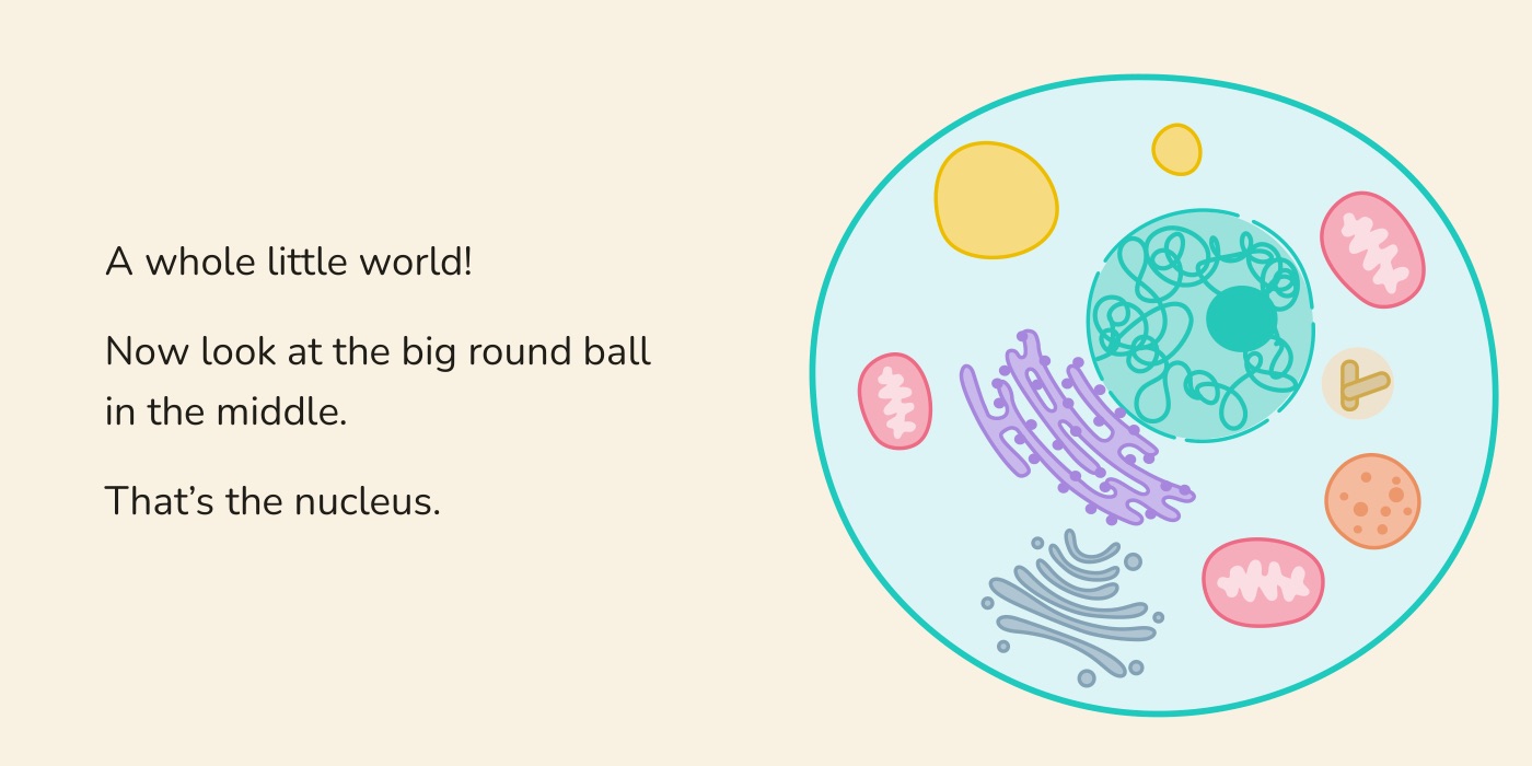 Book spread: a full-color animal cell with its organelles, seen through the magnifying glass