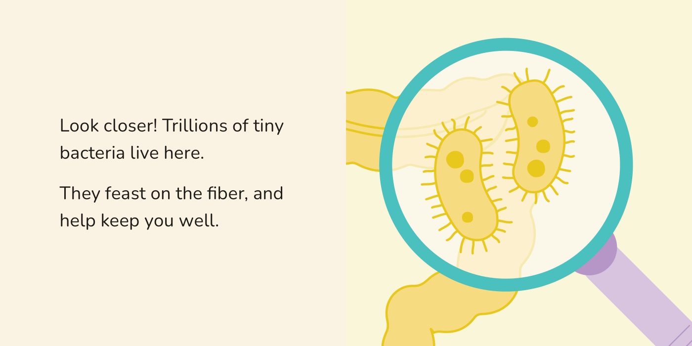 Book spread: the magnifying glass over the large intestine, showing gut bacteria