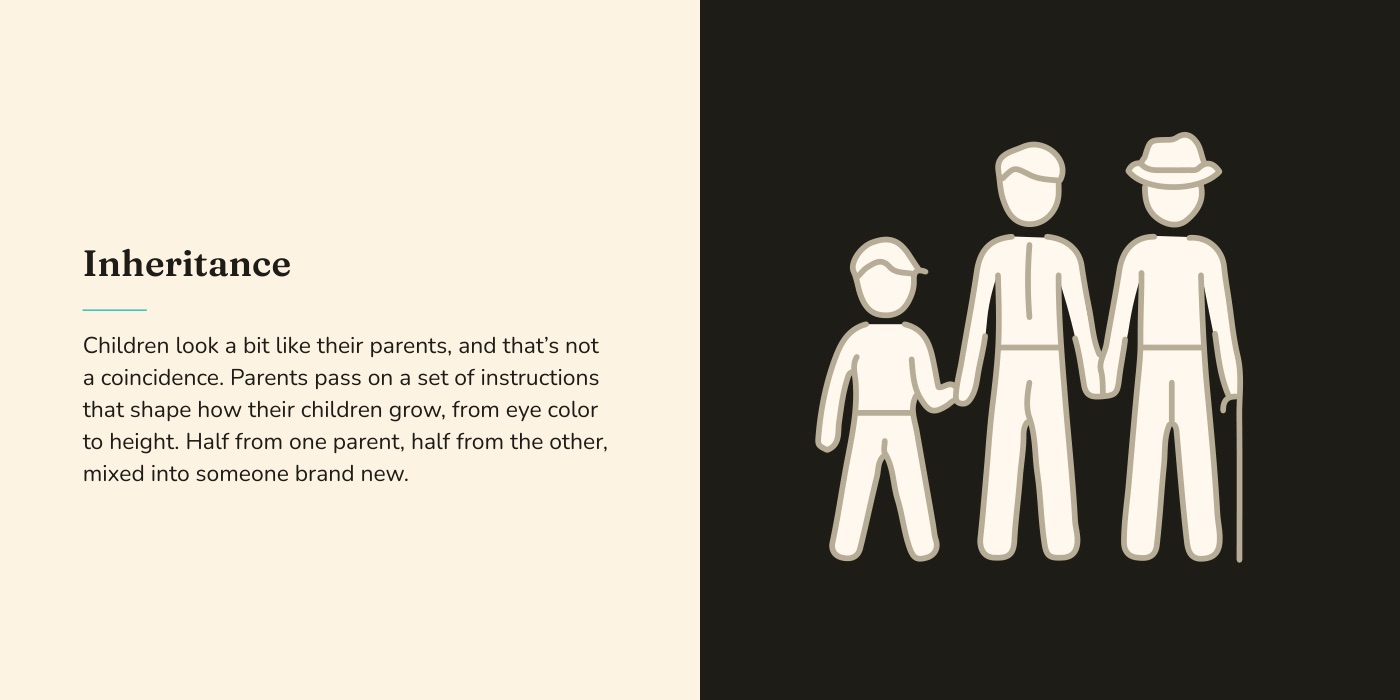 Book spread: a grown-up's note beside a high-contrast illustration of three generations of a family