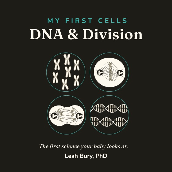 Cover of My First Cells: DNA and Division