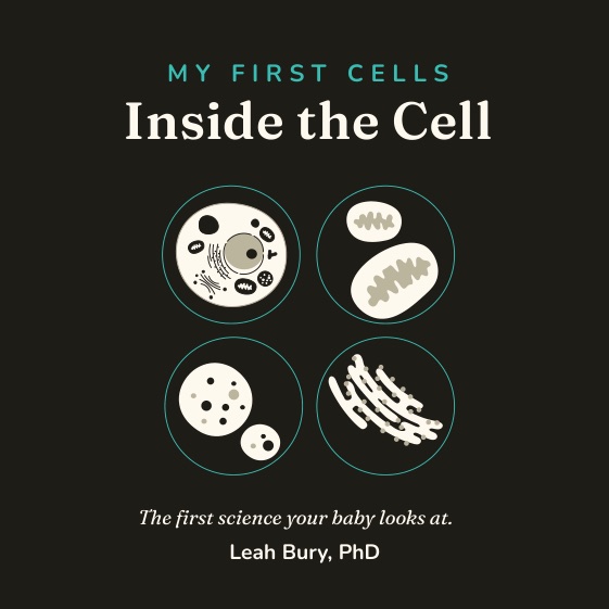 Cover of My First Cells: Inside the Cell
