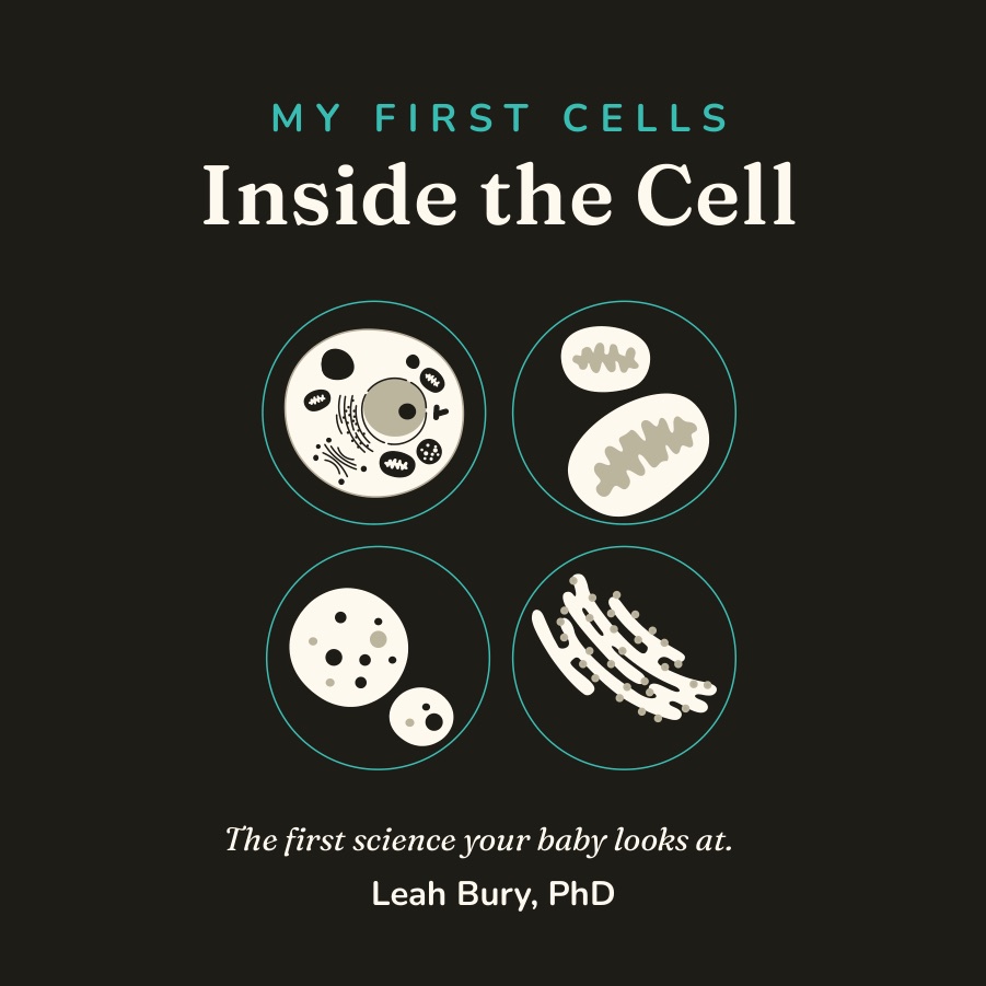 Cover of My First Cells: Inside the Cell, illustrated by Leah Bury